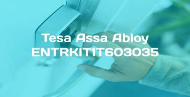 reseña de Tesa Assa Abloy ENTRKIT1T603035
